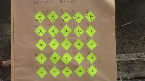 2020 9 1 Savage 22 at 100 yards after more VFG and JB Bore Paste