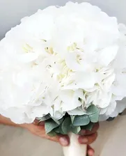 Гортензия крупнолистная Брайт Вайт (Bright White) нежно-белая (контейнер p9) 1-год
