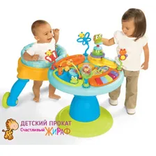 Игровой развивающий центр "Чудесный сад 360" BRIGHT STARTS