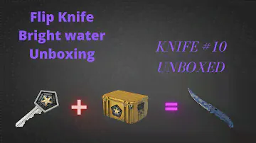 CS:GO Knife Unboxing | Flip Knife Bright Water