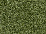 Forbo Coral Bright
