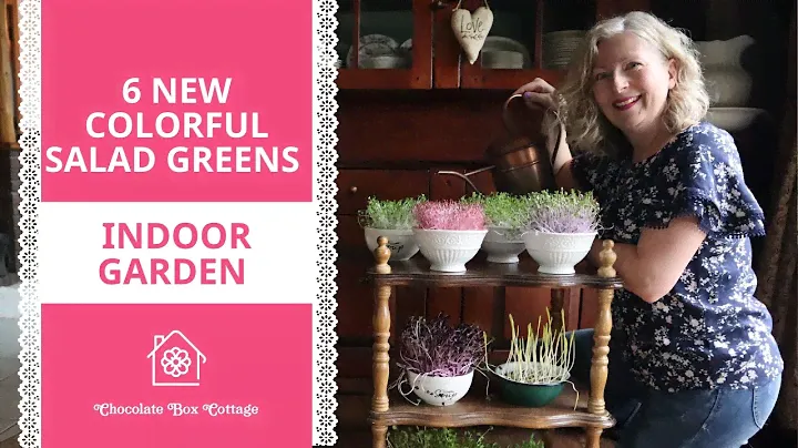 Indoor Salad Garden Part 2 | 6 New Colorful Greens You Can Grow in the House!