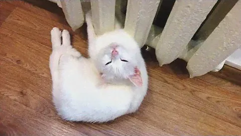 Sweet dreams with the radiator. Сладкие сны с батареей.