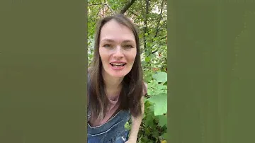 Полезные советы и красная смородина ;)